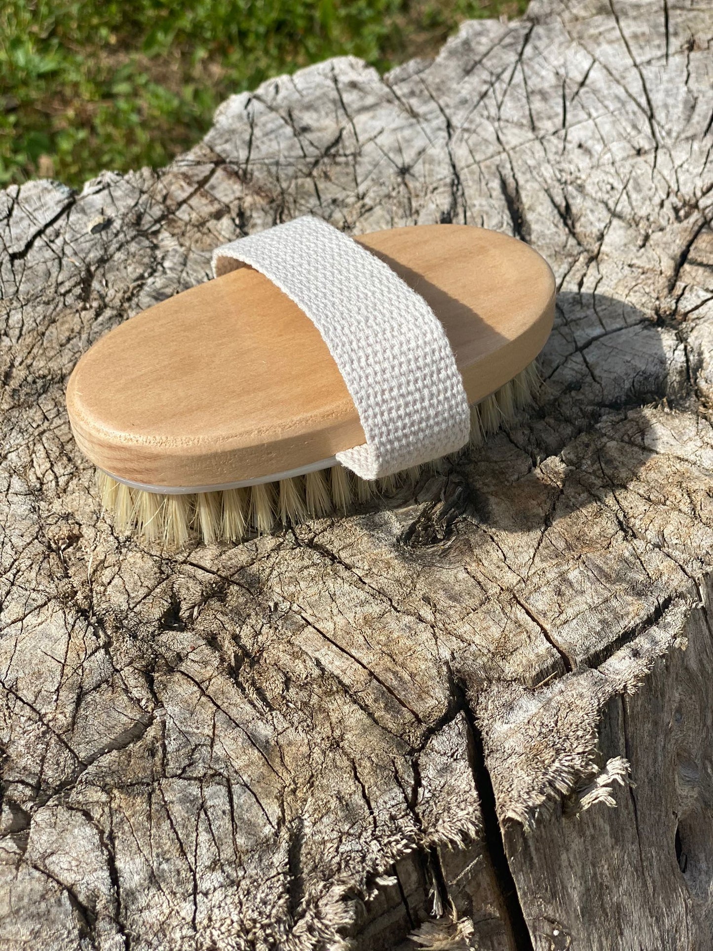 Brosse en Soie Naturelle Rollara : L'Excellence pour Votre Routine de Soin Corporel