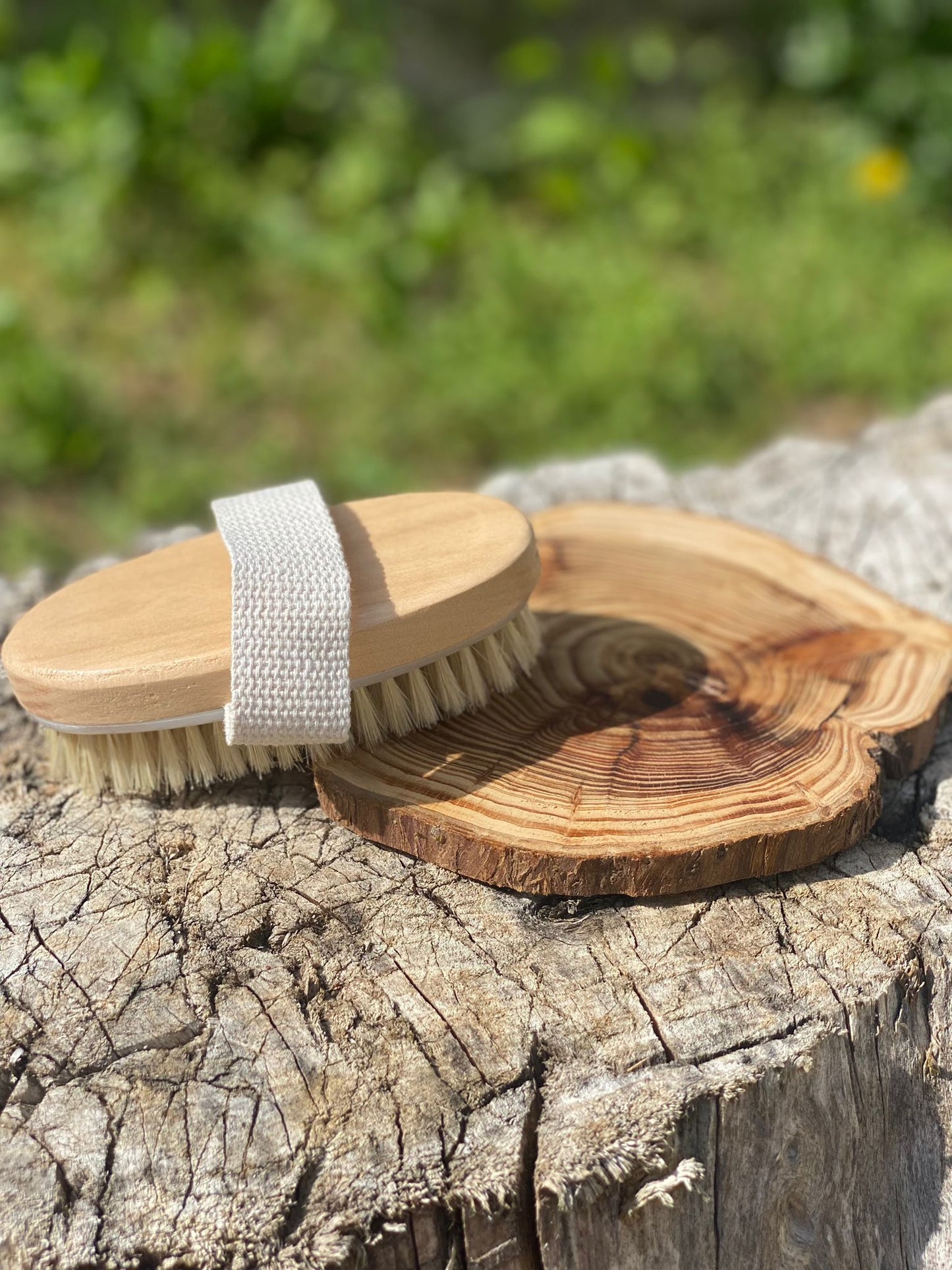 Brosse en Soie Naturelle Rollara : L'Excellence pour Votre Routine de Soin Corporel